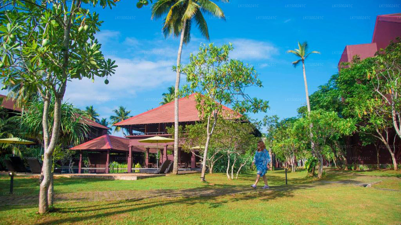 Celestia Ayurveda Resort, Bentota