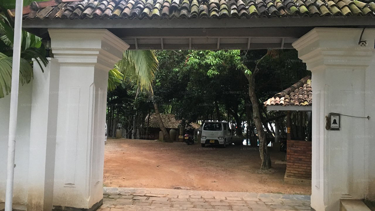 Araliya Villa, Balapitiya