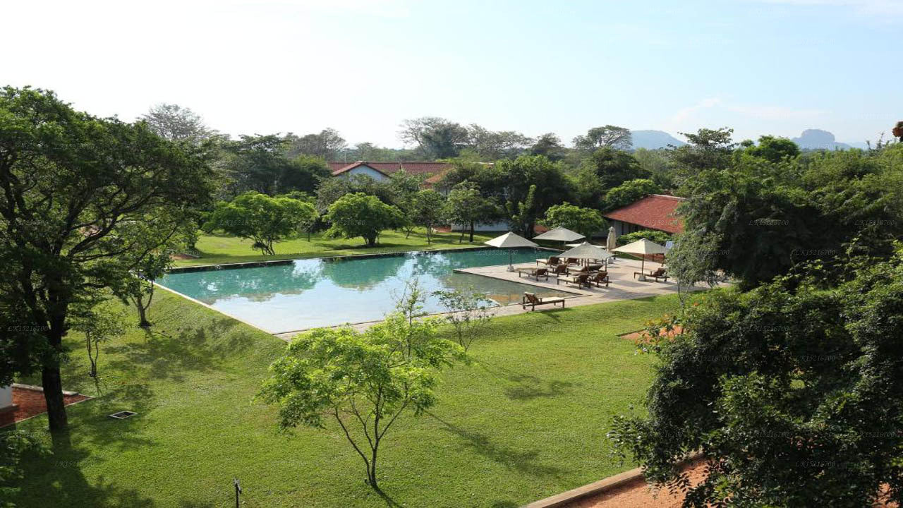 Sigiriya Jungles, Sigiriya