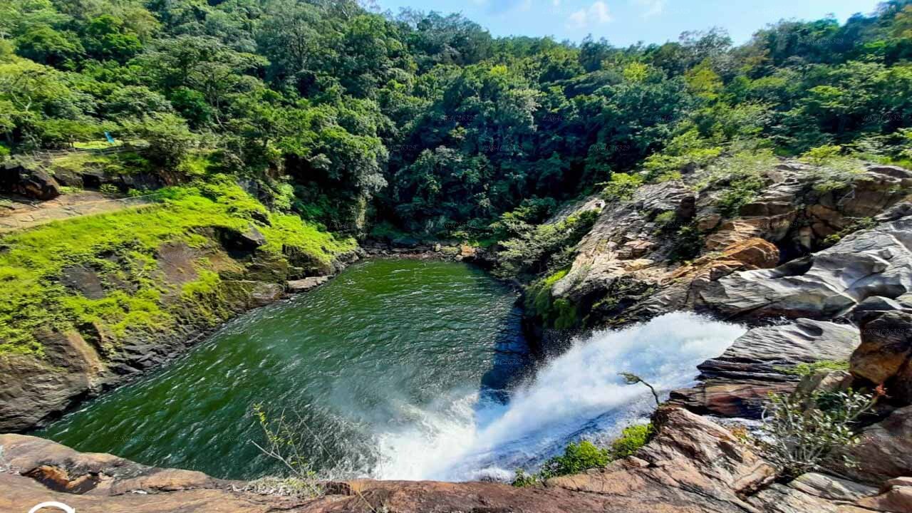 Sinharaja Rain Forest Water Fall Tour