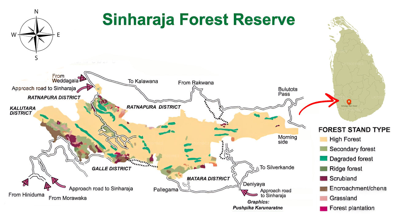 Birdwatching from Sinharaja Rainforest