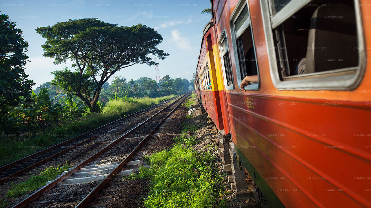 Train Ticket Reservation from Kandy to Ella, Nanu Oya, and Badulla