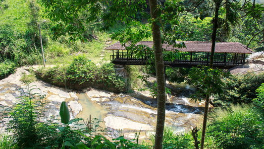 Badulla New Tourist Inn, Badulla