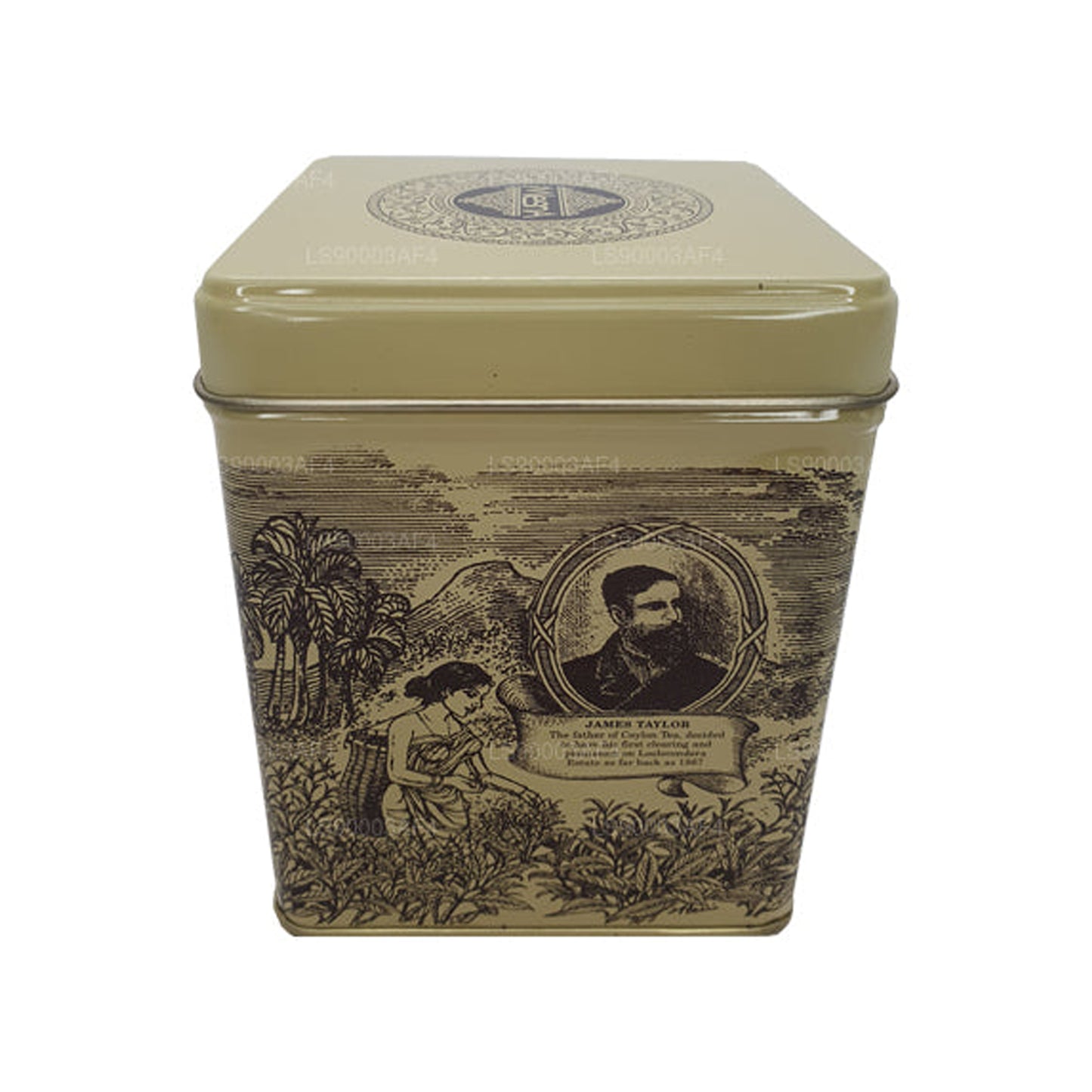 Mlesna Loolecondera BOP Fannings Tea Caddy