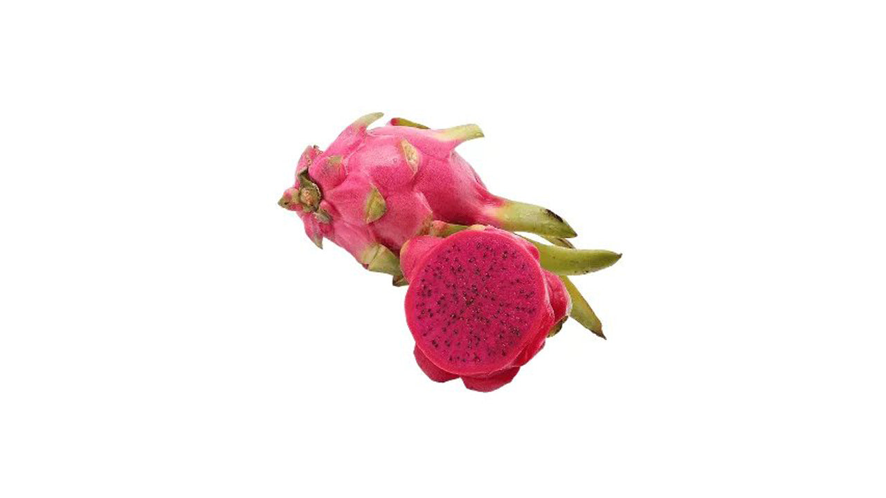 Dragon Fruit (ඩ්‍රැගන් ෆෘට් – රතු (ලේයර්) Fruit Plant