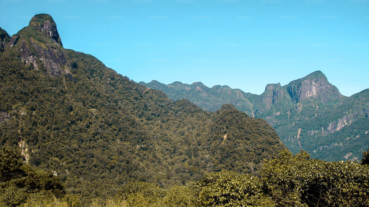 Nuwara Eliya from Colombo (2 Days)