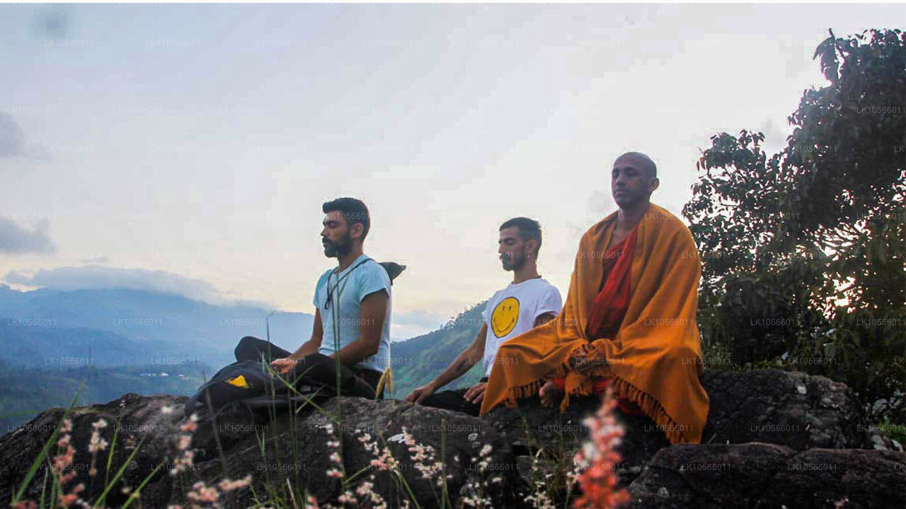 Meditation and Yoga Tour (5 Days)