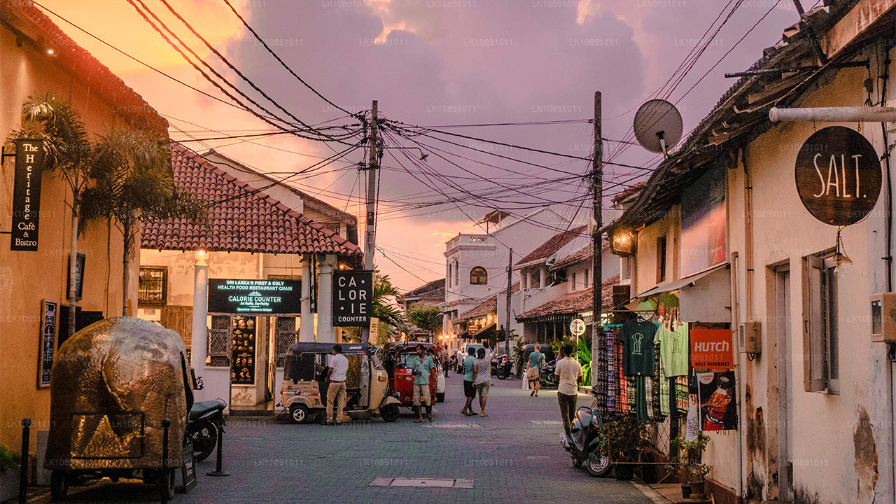 Quintessential Ceylon (8 Days)