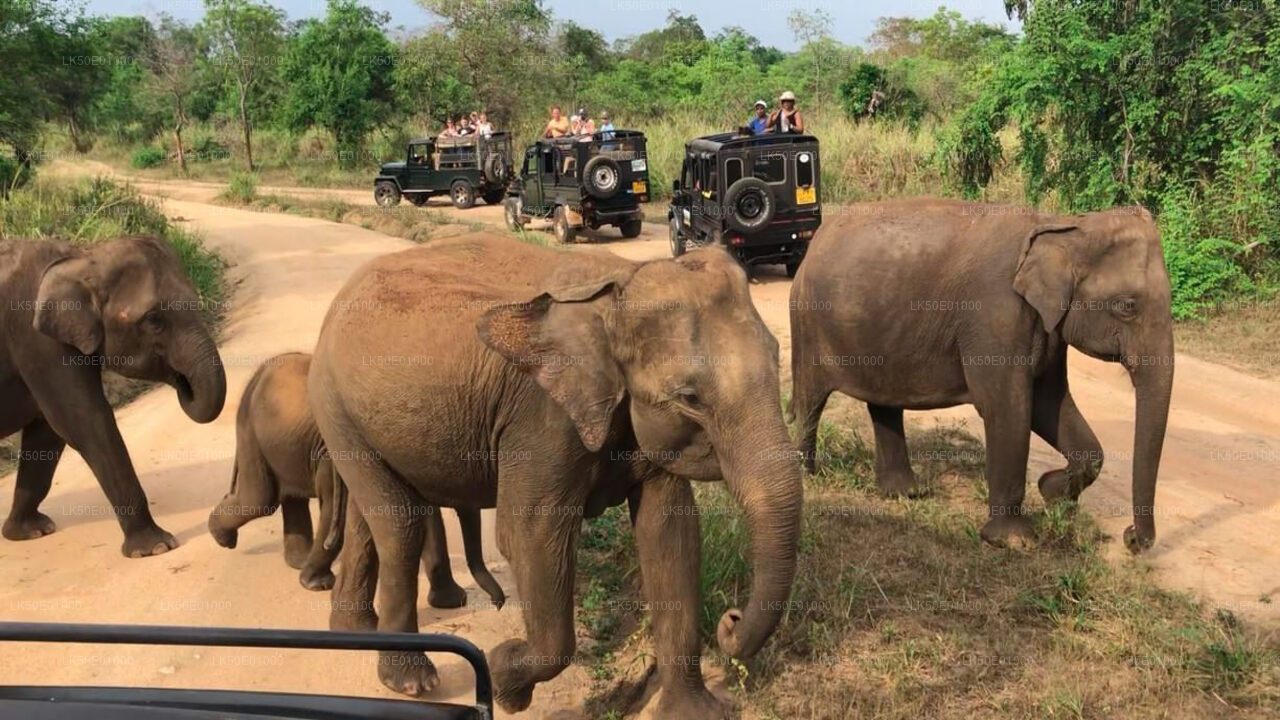 Hurulu Eco Park Private Safari with Naturalist