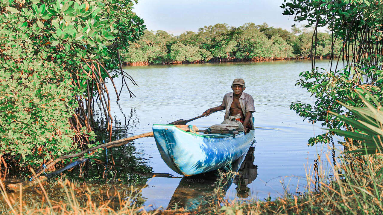 Lake Fishing from Habarana