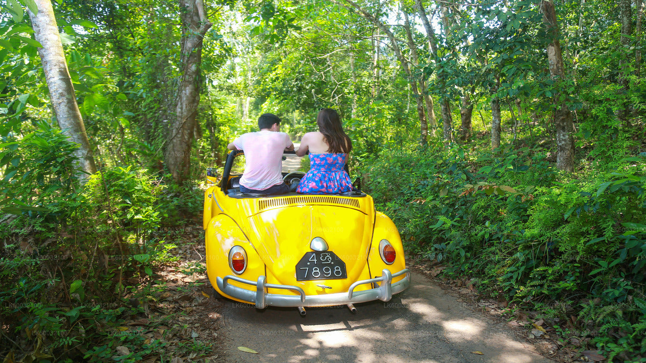 Bentota Countryside Tour by Classic Car