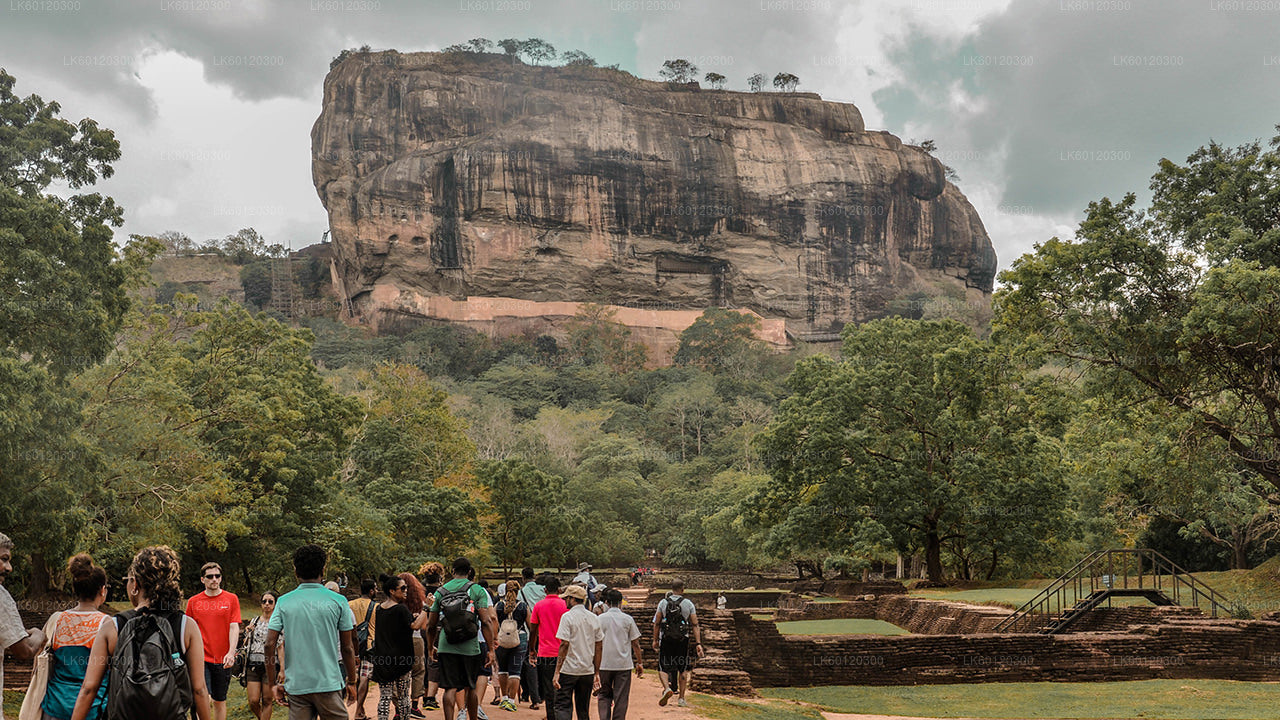 Sigiriya Rock and Wild Elephant Safari from Polonnaruwa