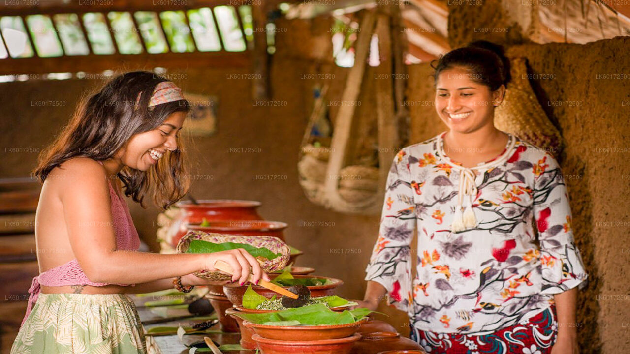 Waterfall Hike and Aboriginal Village Tour from Kandy