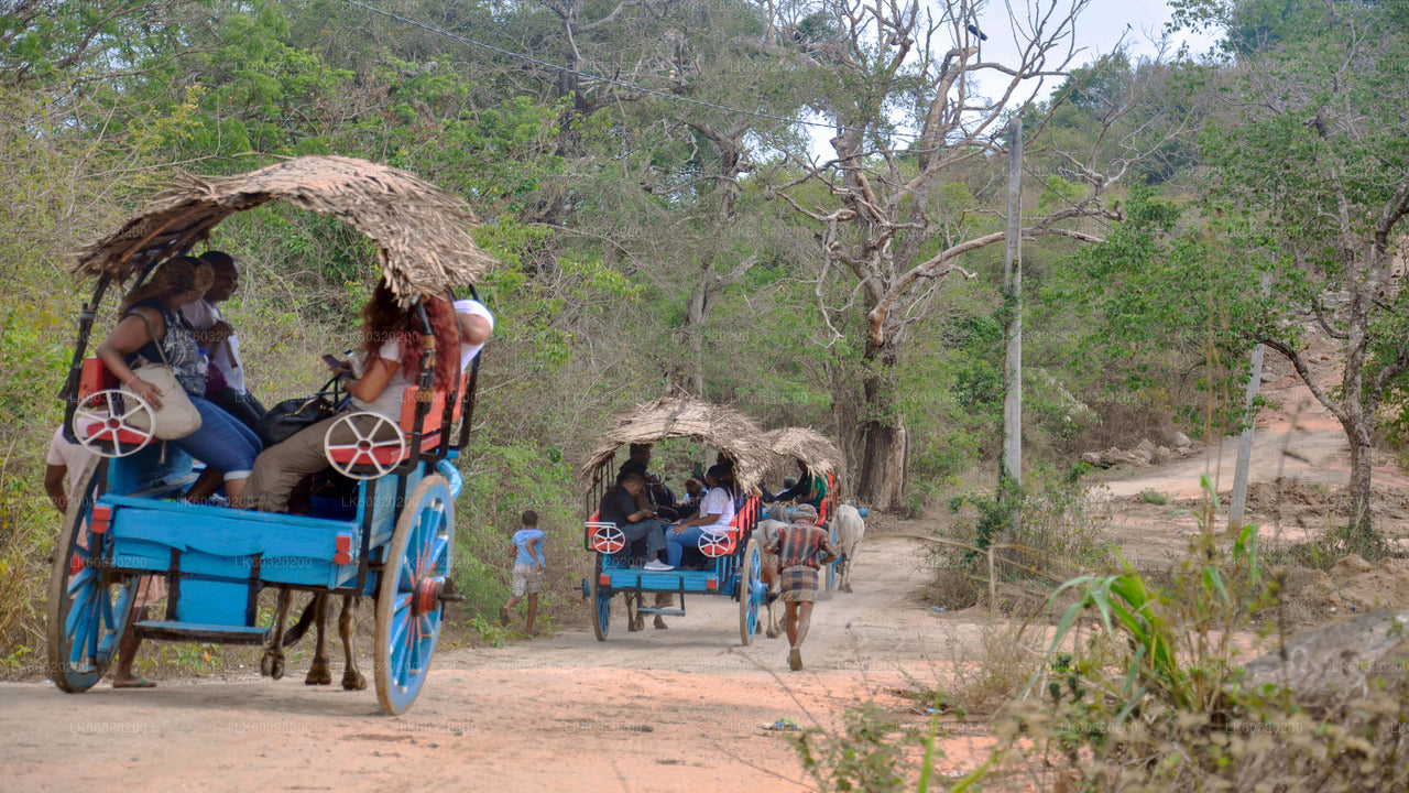 Sigiriya Village Tour from Habarana