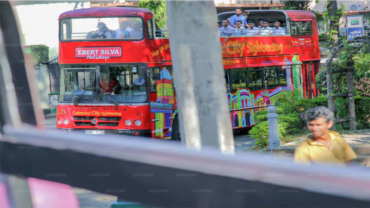 Kandy City Tour by Open-Deck Bus