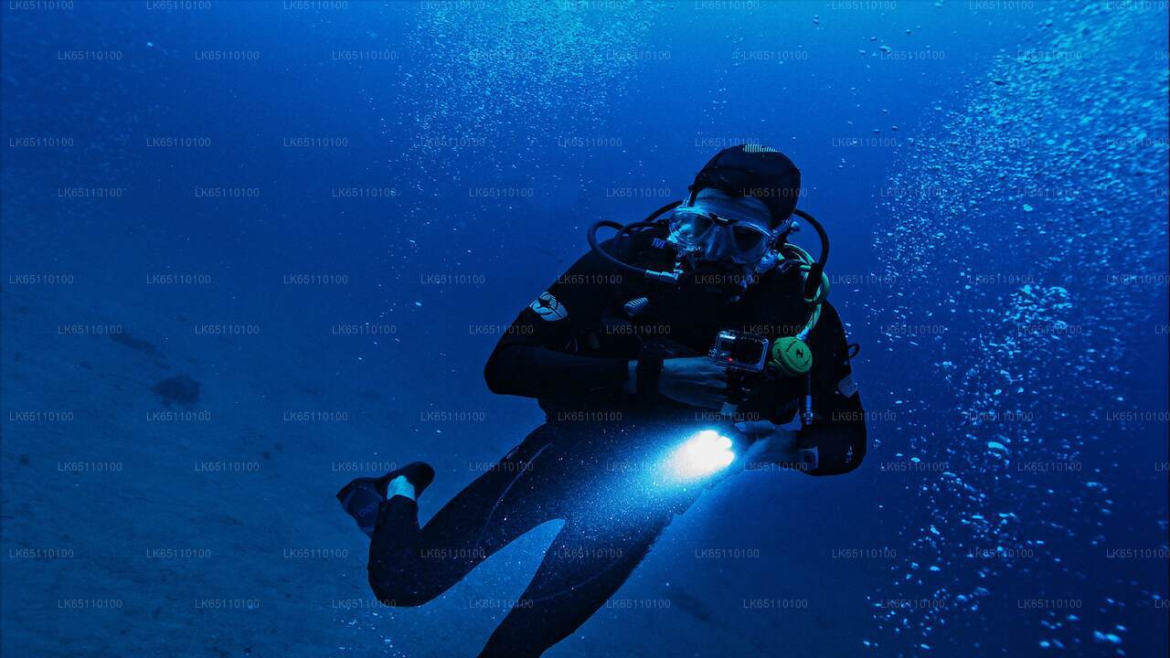 Pro Scuba Diving from Bentota