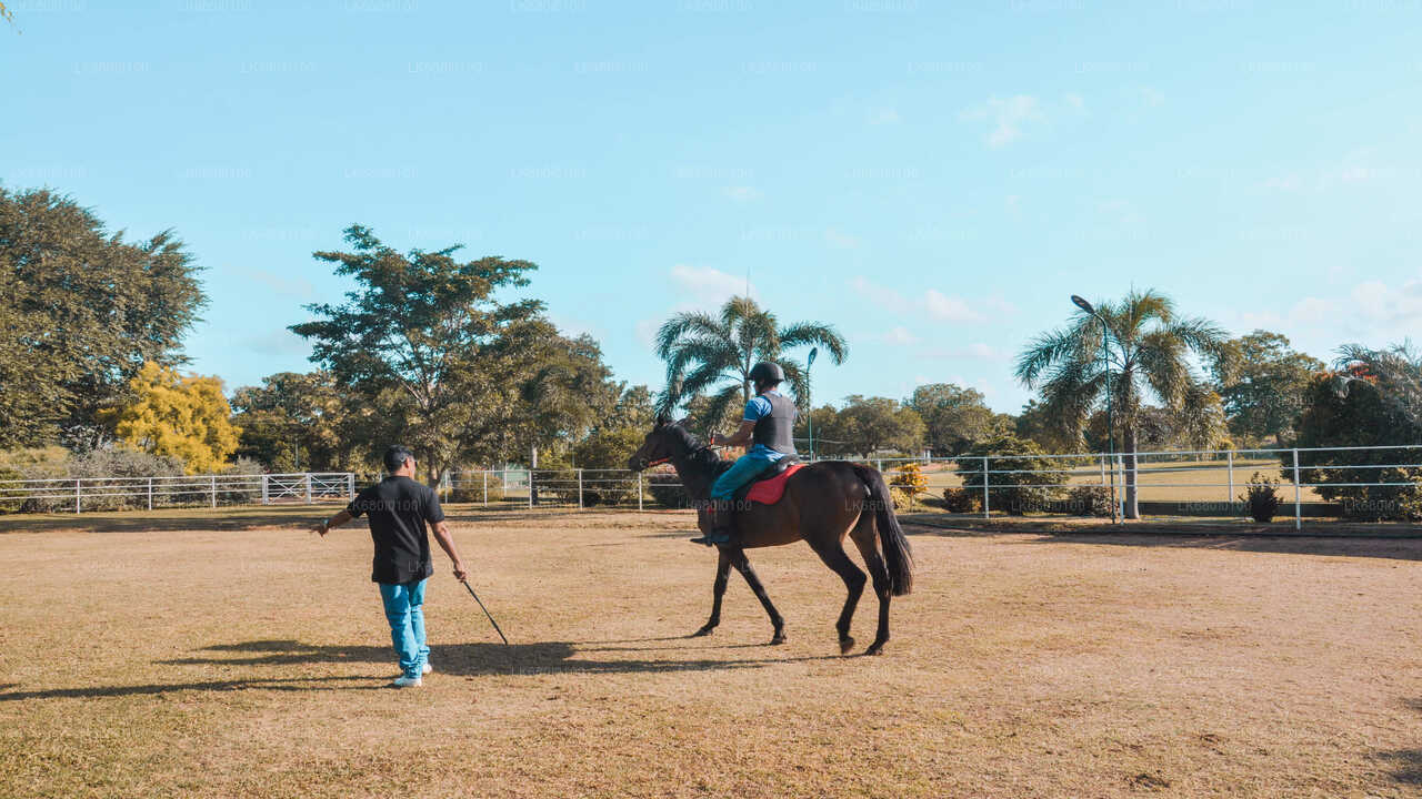 Horse Riding for Beginners from Dambulla