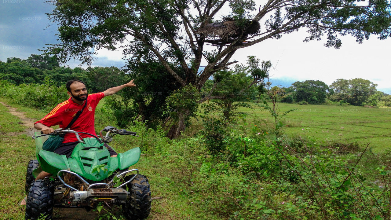 Mud Safari from Habarana