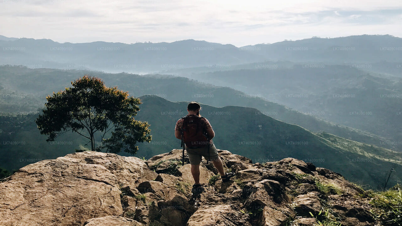 Nature Trekking Tour in Ella