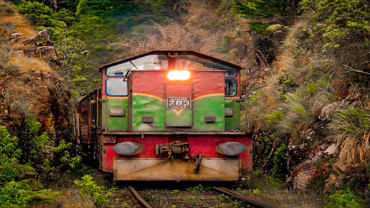 Nanu Oya to Kandy train ride on (Train No: 1016 "Udarata Menike")