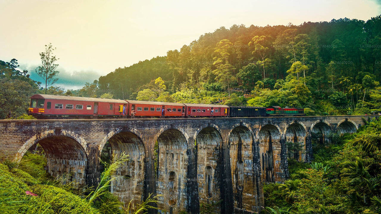 Badulla to Nanu Oya train ride on (Train No: 1016 "Udarata Menike")