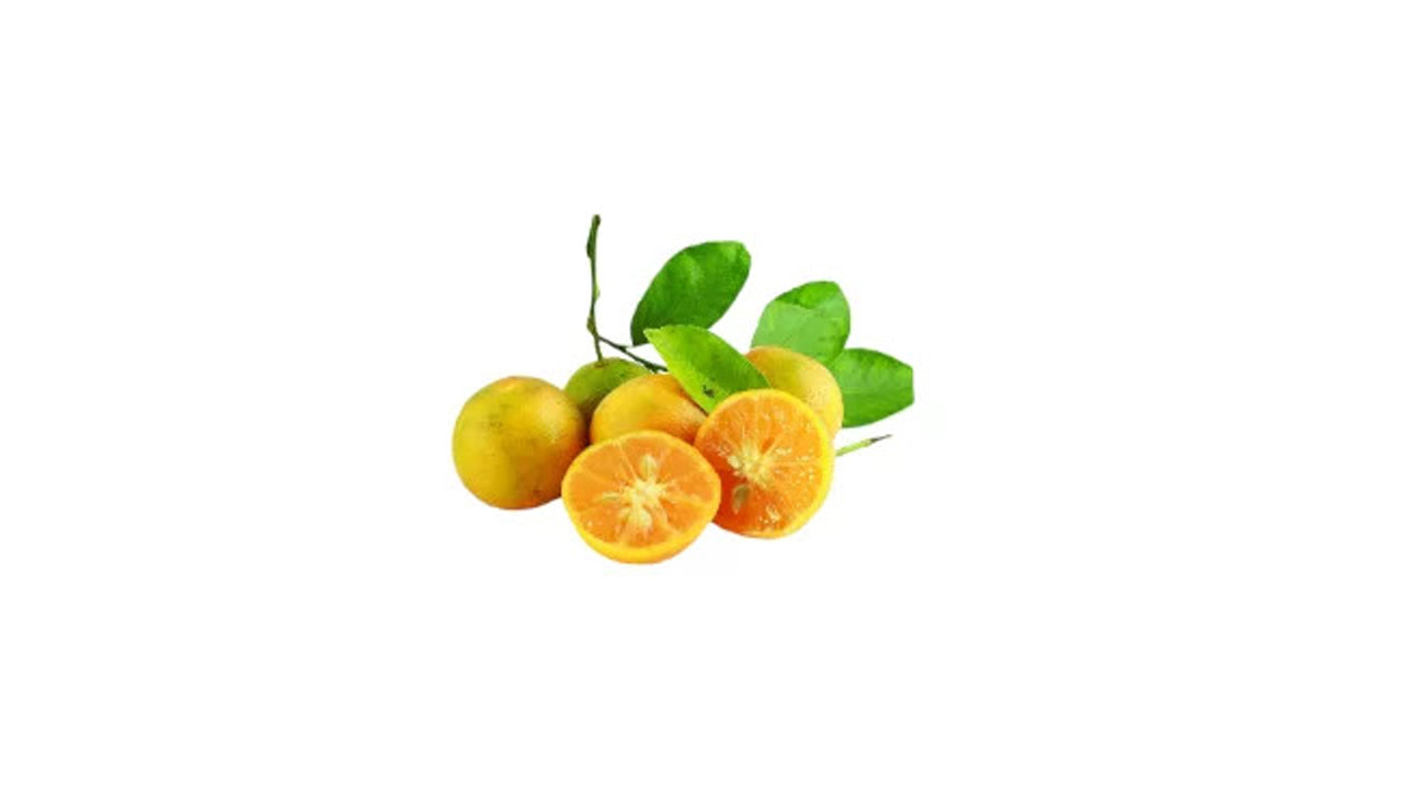 Ceylon Jamanarang (දේශීය ජමනාරං (බද්ධ) Fruit Plant